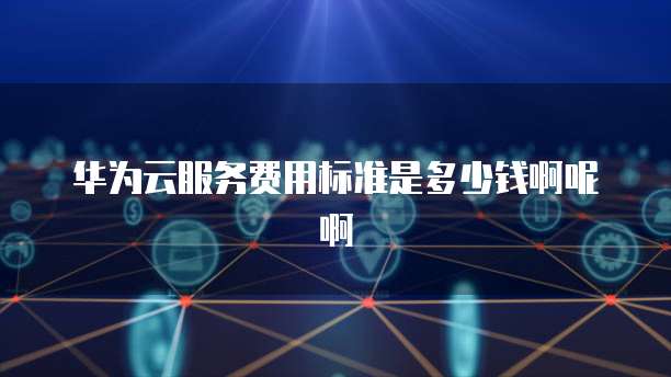 华为云服务费用标准是多少钱啊呢啊