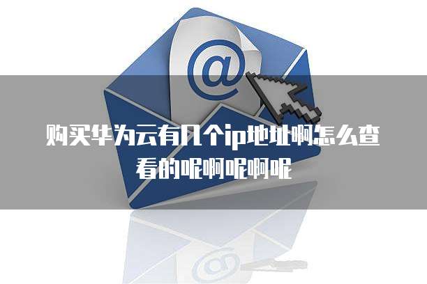 购买华为云有几个ip地址啊怎么查看的呢啊呢啊呢