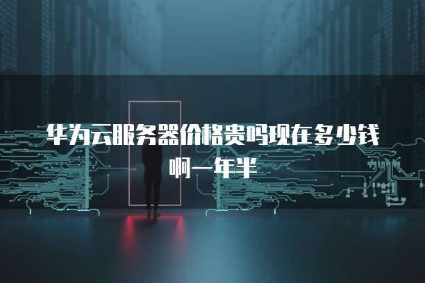 华为云服务器价格贵吗现在多少钱啊一年半