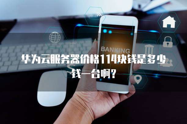 华为云服务器价格114块钱是多少钱一台啊？