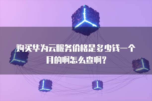 购买华为云服务价格是多少钱一个月的啊怎么查啊?