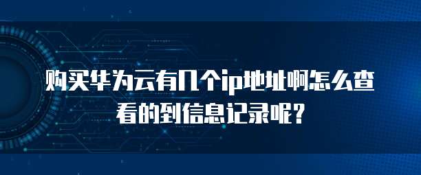 购买华为云有几个ip地址啊怎么查看的到信息记录呢？