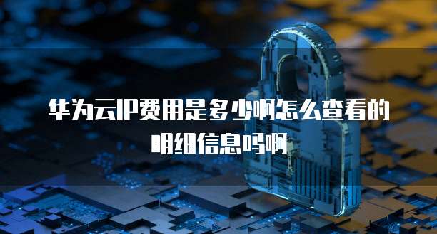 华为云IP费用是多少啊怎么查看的明细信息吗啊