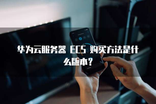 华为云服务器 ECS 购买方法是什么版本?