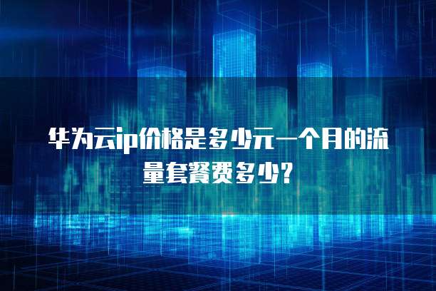 华为云ip价格是多少元一个月的流量套餐费多少?