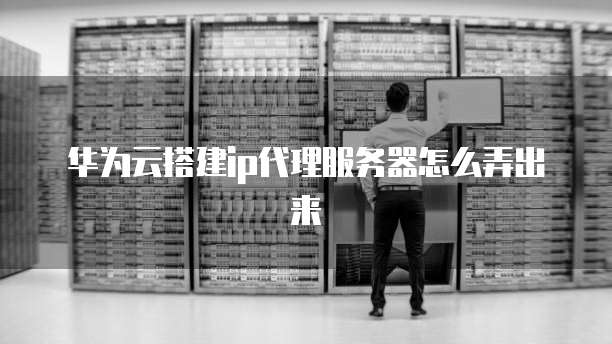 华为云搭建ip代理服务器怎么弄出来
