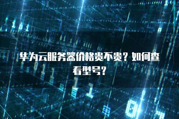 华为云服务器价格贵不贵？如何查看型号？