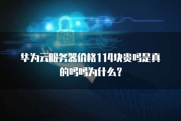 华为云服务器价格114块贵吗是真的吗吗为什么?