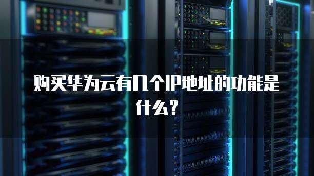 购买华为云有几个IP地址的功能是什么？