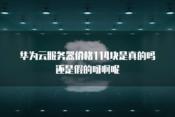 华为云服务器价格114块是真的吗还是假的呀啊呢