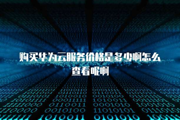 购买华为云服务价格是多少啊怎么查看呢啊