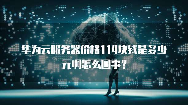 华为云服务器价格114块钱是多少元啊怎么回事?