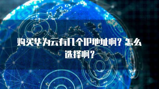 购买华为云有几个IP地址啊？怎么选择啊？