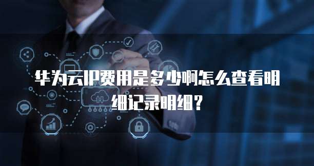 华为云IP费用是多少啊怎么查看明细记录明细?