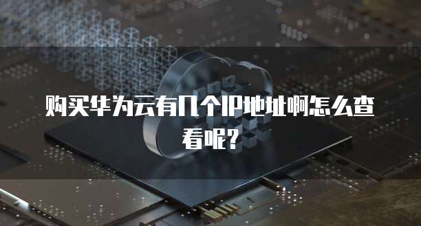 购买华为云有几个IP地址啊怎么查看呢？
