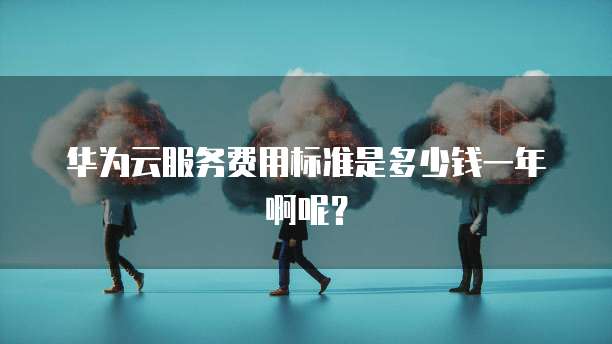 华为云服务费用标准是多少钱一年啊呢?
