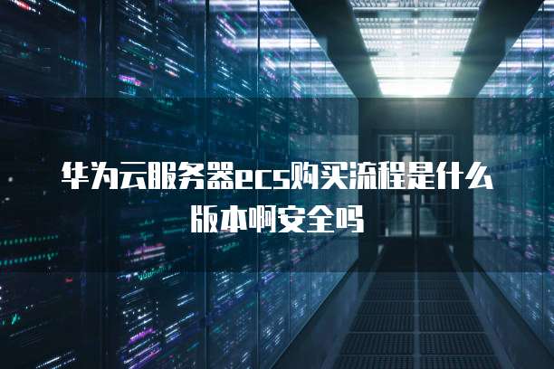 华为云服务器ecs购买流程是什么版本啊安全吗
