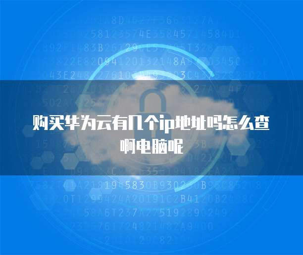 购买华为云有几个ip地址吗怎么查啊电脑呢