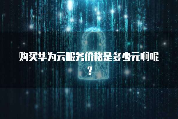 购买华为云服务价格是多少元啊呢?