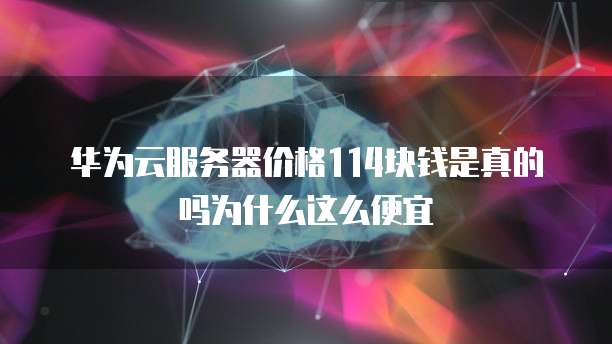 华为云服务器价格114块钱是真的吗为什么这么便宜