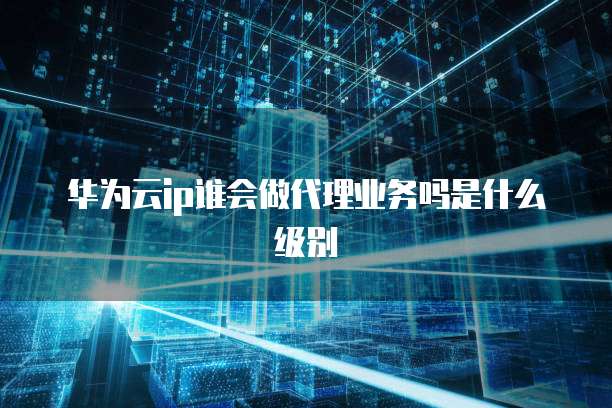 华为云ip谁会做代理业务吗是什么级别