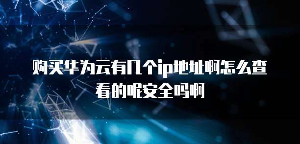 购买华为云有几个ip地址啊怎么查看的呢安全吗啊