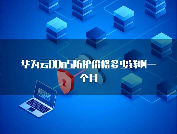 华为云DDoS防护价格多少钱啊一个月