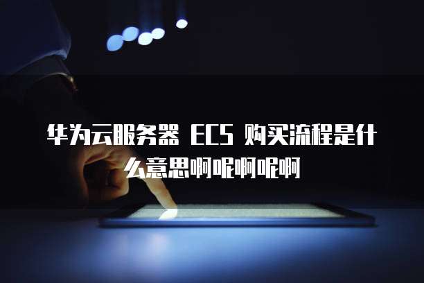 华为云服务器 ECS 购买流程是什么意思啊呢啊呢啊
