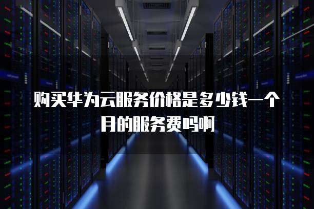 购买华为云服务价格是多少钱一个月的服务费吗啊