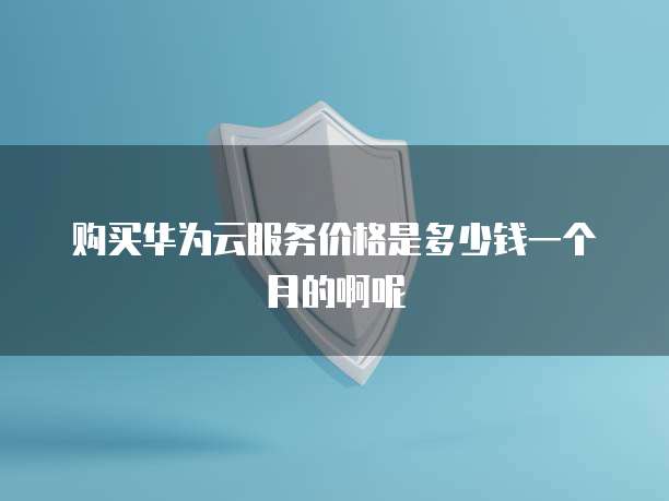 购买华为云服务价格是多少钱一个月的啊呢