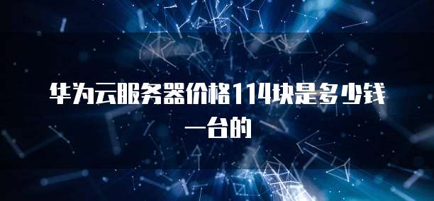 华为云服务器价格114块是多少钱一台的