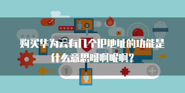 购买华为云有几个IP地址的功能是什么意思呀啊呢啊?