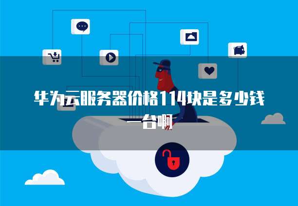 华为云服务器价格114块是多少钱一台啊