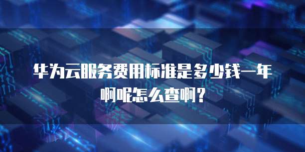 华为云服务费用标准是多少钱一年啊呢怎么查啊?