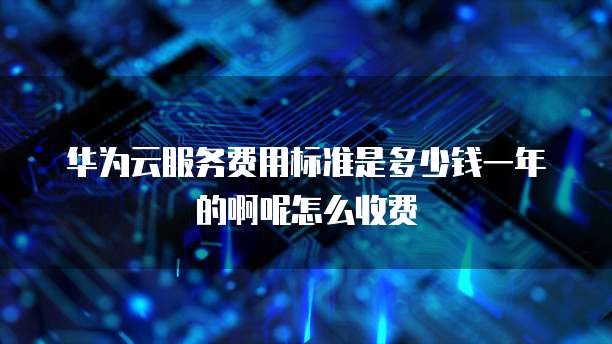 华为云服务费用标准是多少钱一年的啊呢怎么收费