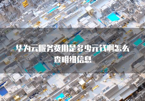 华为云服务费用是多少元钱啊怎么查明细信息