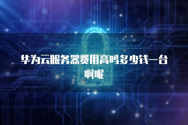 华为云服务器费用高吗多少钱一台啊呢