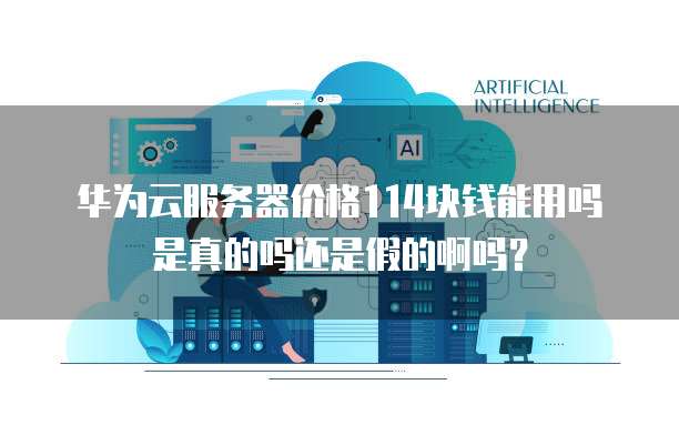 华为云服务器价格114块钱能用吗是真的吗还是假的啊吗?