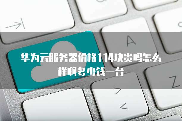 华为云服务器价格114块贵吗怎么样啊多少钱一台