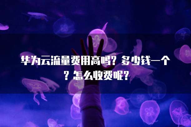 华为云流量费用高吗?多少钱一个?怎么收费呢?