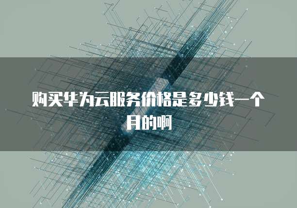 购买华为云服务价格是多少钱一个月的啊