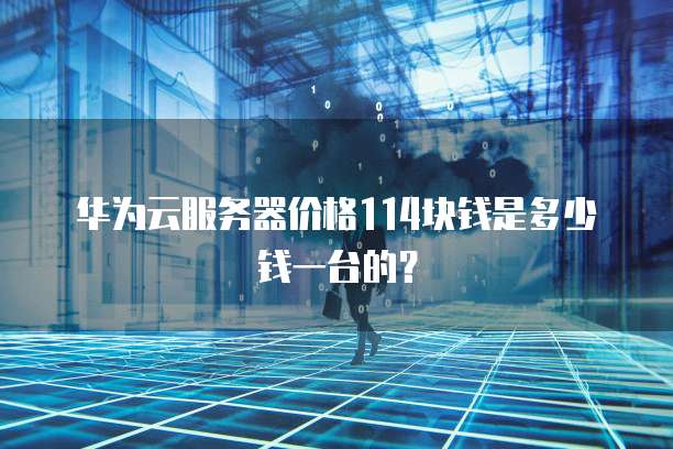 华为云服务器价格114块钱是多少钱一台的?