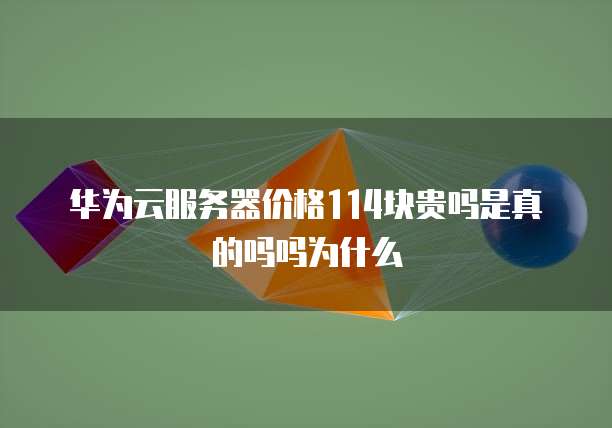 华为云服务器价格114块贵吗是真的吗吗为什么