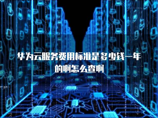 华为云服务费用标准是多少钱一年的啊怎么查啊