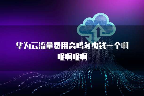 华为云流量费用高吗多少钱一个啊呢啊呢啊