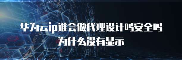 华为云ip谁会做代理设计吗安全吗为什么没有显示