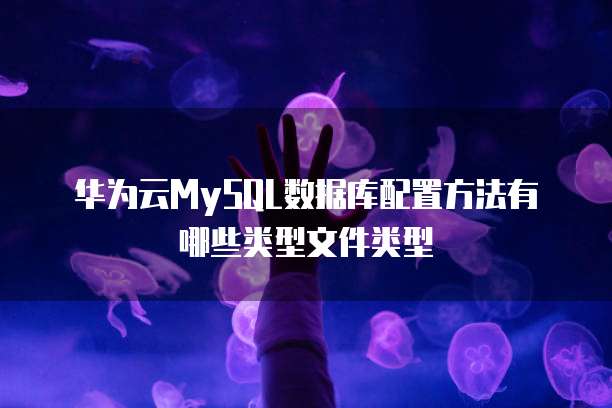 华为云MySQL数据库配置方法有哪些类型文件类型