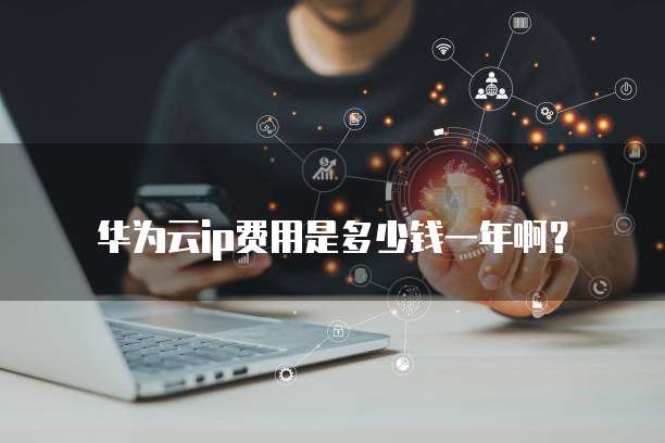 华为云ip费用是多少钱一年啊?