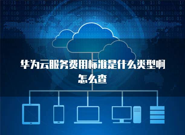 华为云服务费用标准是什么类型啊怎么查