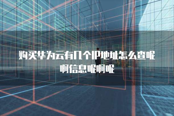购买华为云有几个IP地址怎么查呢啊信息呢啊呢